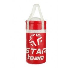 Боксерская груша "STAR TEAM", цвет красный, вес 2,5 кг, в сетке 40 см