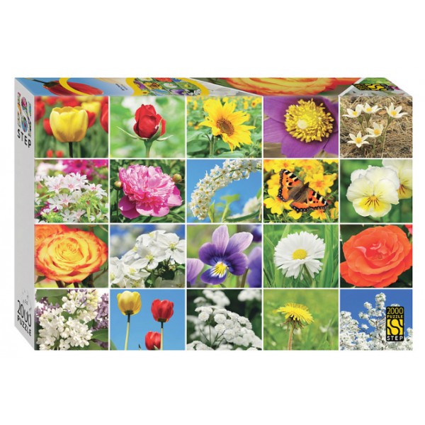 Мозаика "puzzle" 2000 "Цветы. Коллаж"